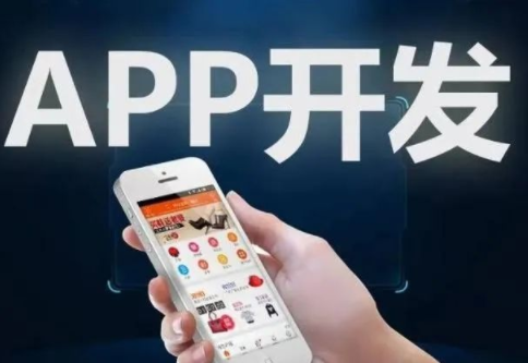 專業(yè)的APP開(kāi)發(fā)公司