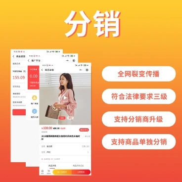 分銷(xiāo)系統(tǒng).webp.jpg